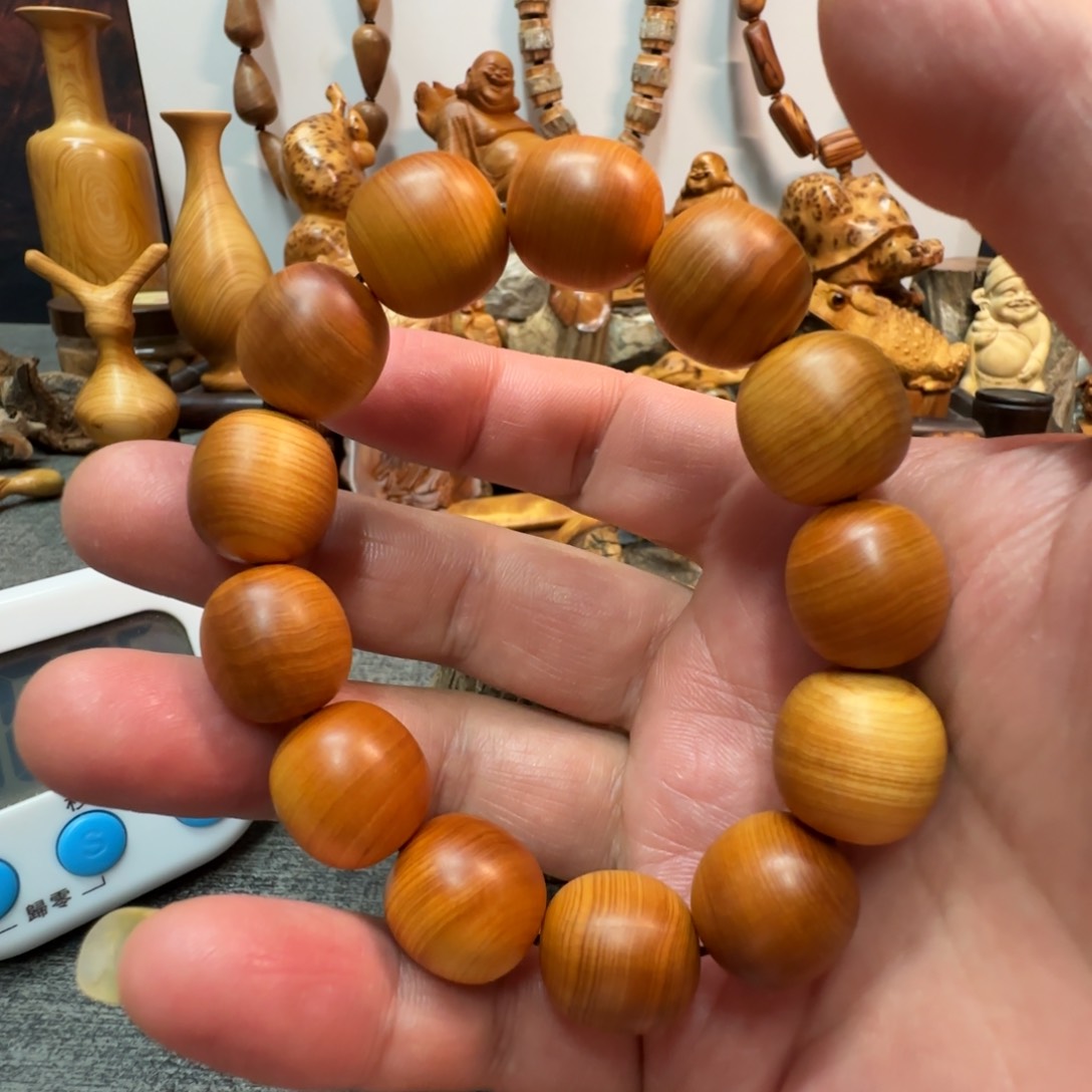 柏木（崖柏）我们都是好孩子呀我