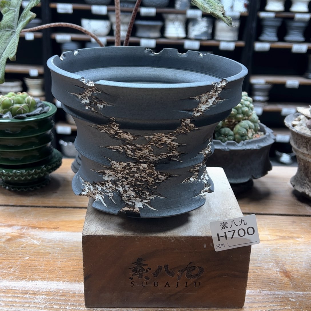 素八九陶瓷内口16.5高13