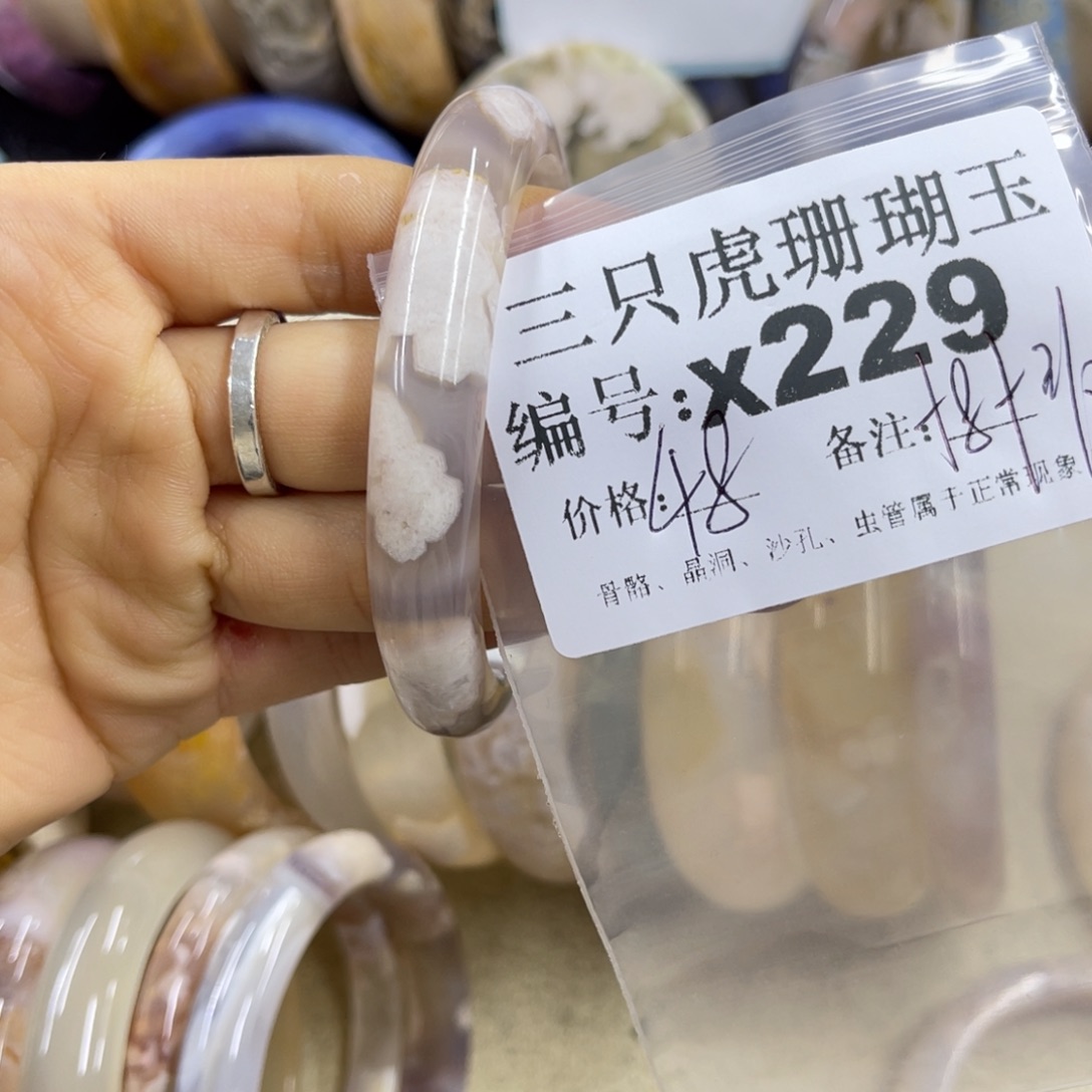 V***e硅化珊瑚（珊瑚玉）未镶嵌h