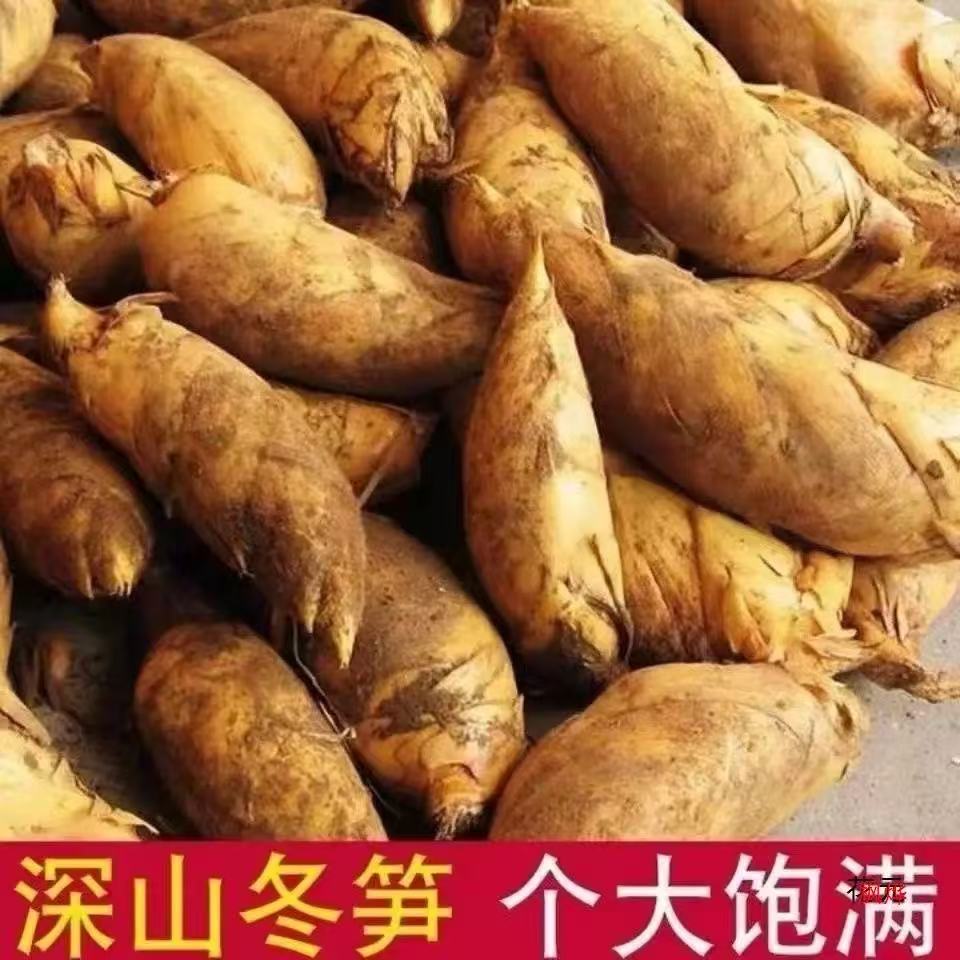 【顺丰京东包邮】建瓯新鲜现挖高山纯天然冬笋脆嫩鲜甜肉厚应季蔬菜