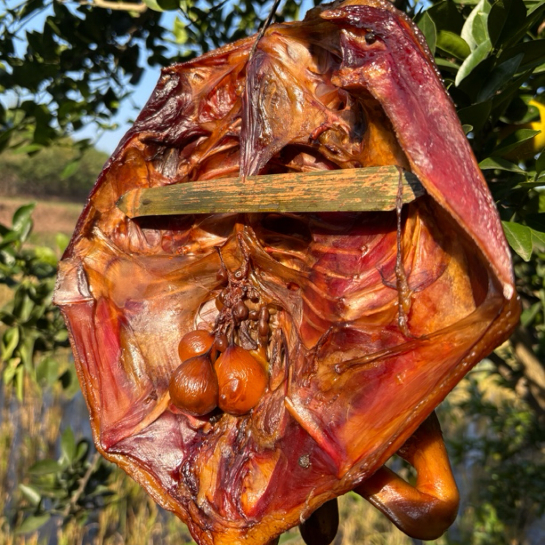 四川特产手工传统烟熏腊鸭整只腊味