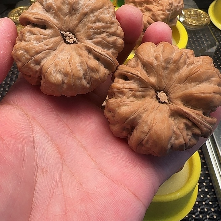 文玩核桃把件知*文玩核桃文玩核桃