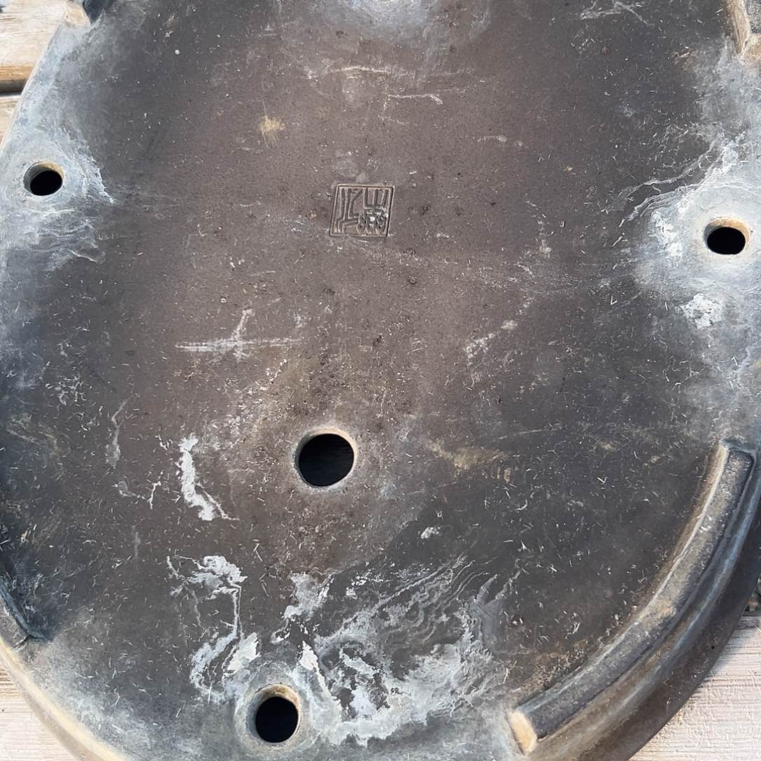 无花朵杂木盆景盆