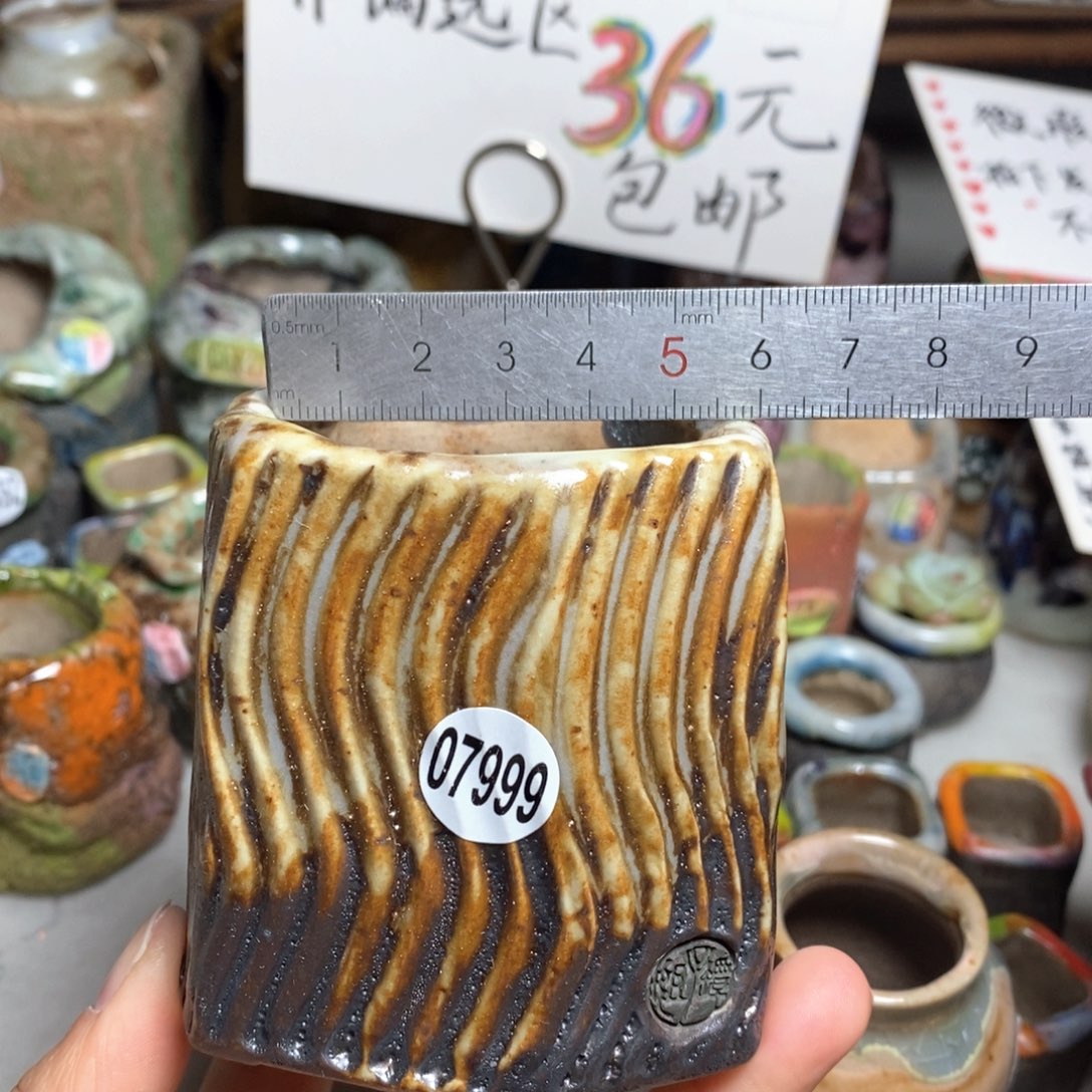 花盆拍3送一个小礼物