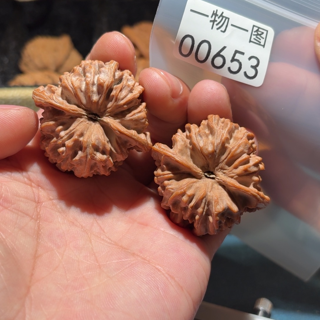 把件文玩核桃红珊瑚