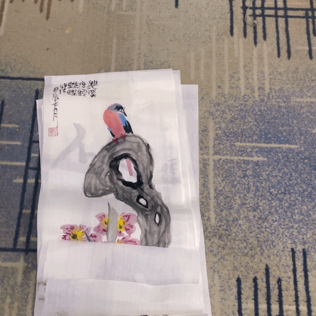 国画芭**屋四尺四开十作品花鸟111111