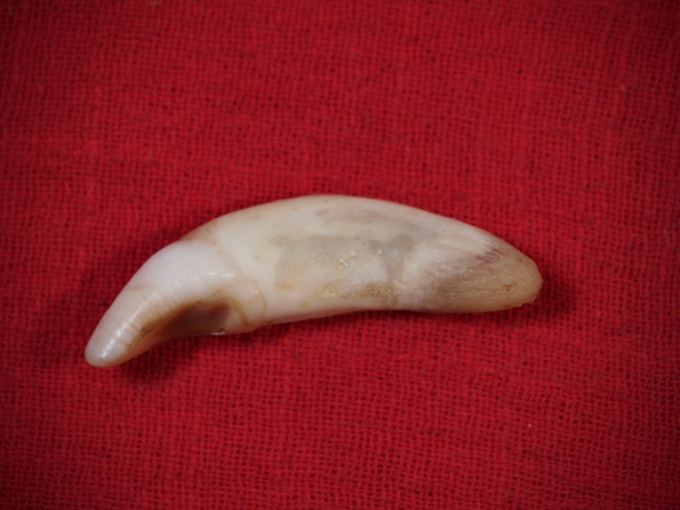 DIY配件一枚（183）