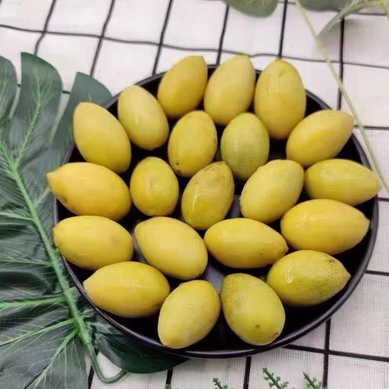 潮汕特产新鲜采摘香种橄榄入口甘香味道浓郁可生吃煲汤泡酒