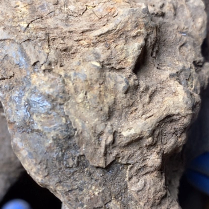 【闪购商品】贡木把件金***_定制新款