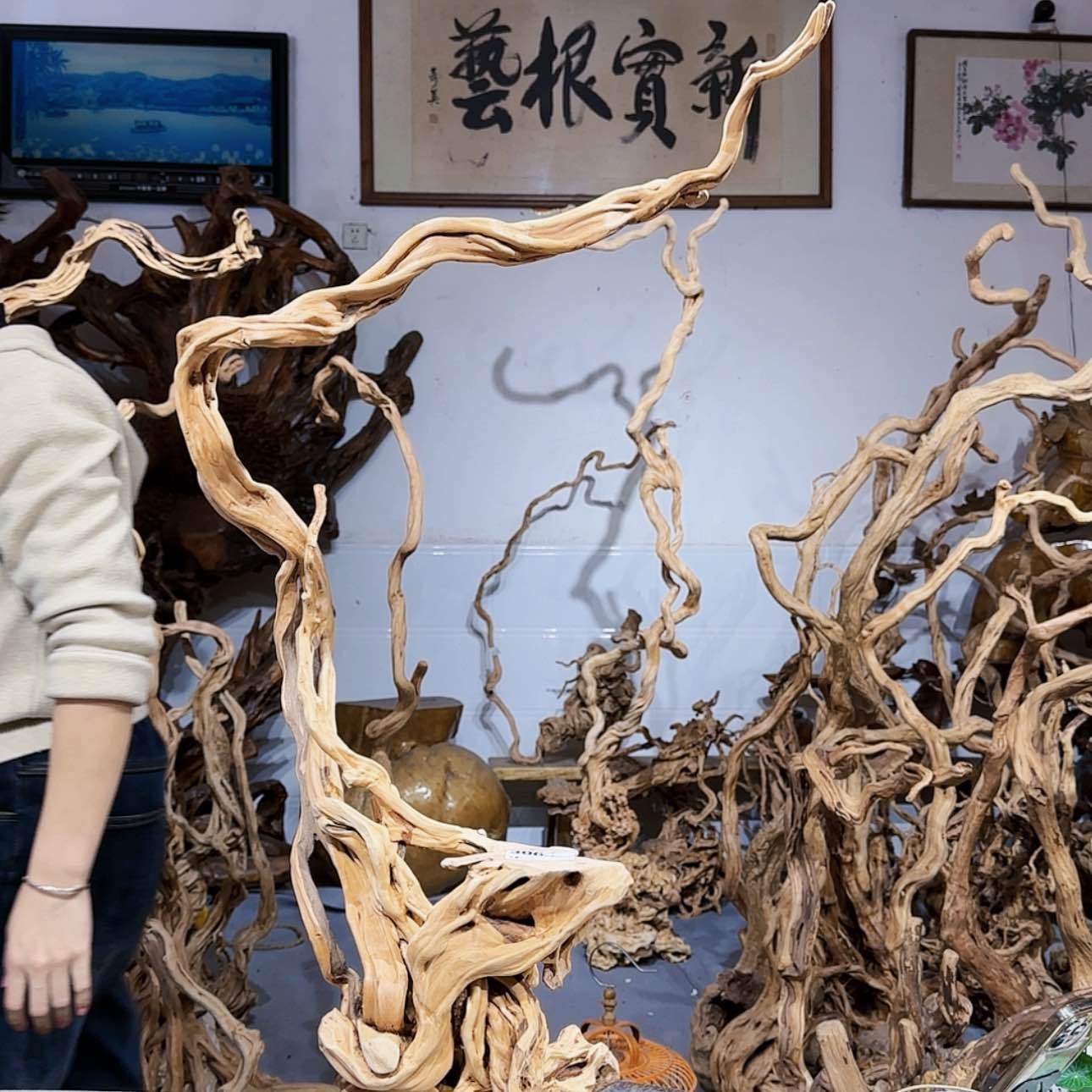 【闪购商品】核桃木/黑胡桃（胡桃木）莫*