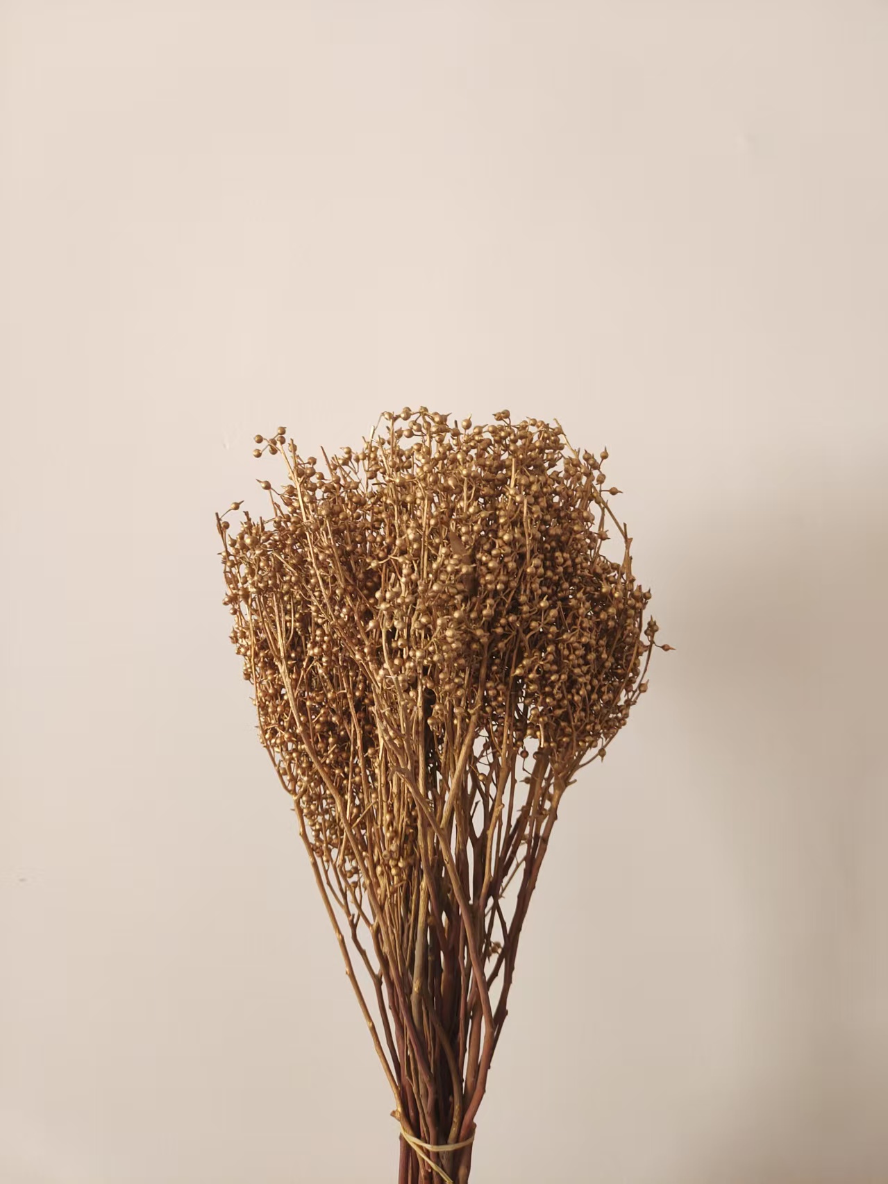 永生花干花保鲜花金色小米果diy装饰手工材料包点缀尤加利果