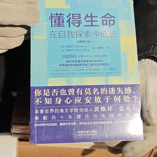 懂得生命平装库存书