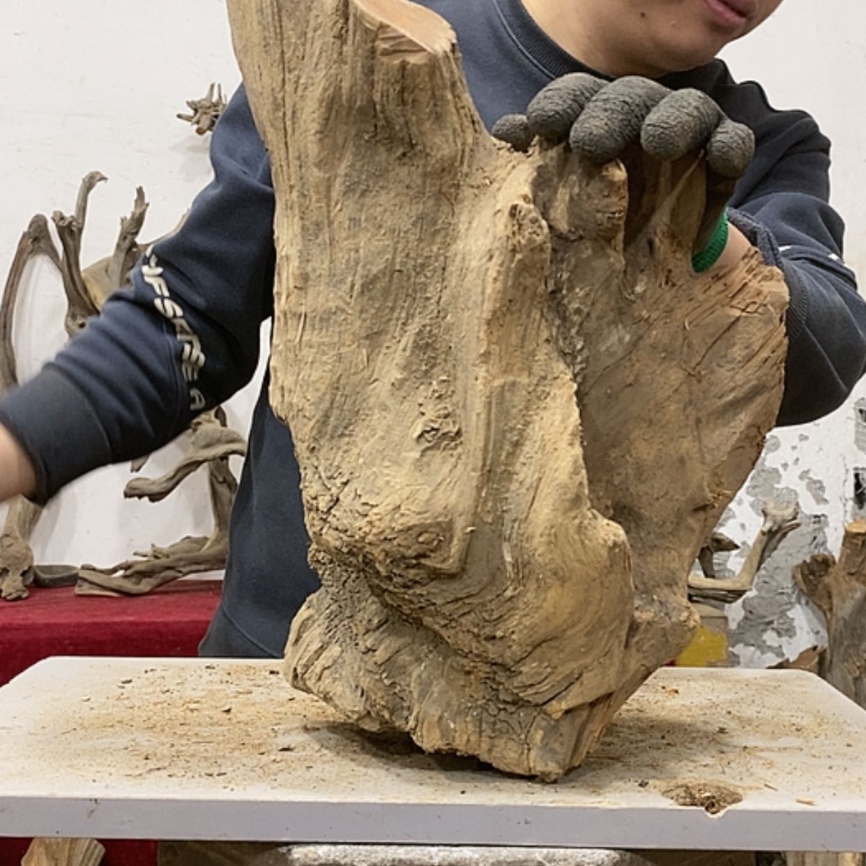 【闪购商品】柏木展****）我们都是好孩子