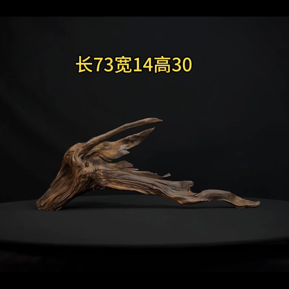 张大狼造景沉木长73cm矮拱桥飘枝 南美鱼缸造景 紫柚木秒沉