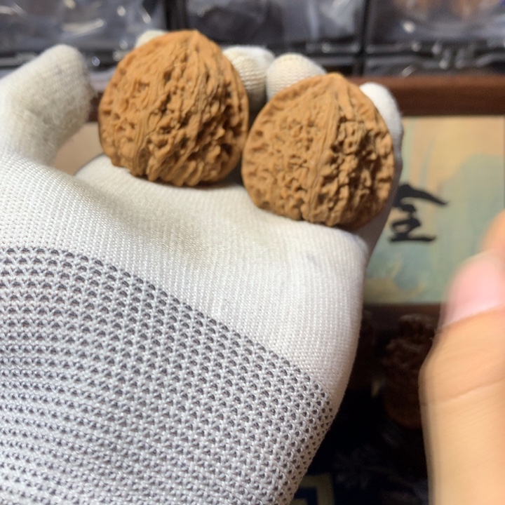 咱***道哈哈哈哈哈哈哈哈哈哈