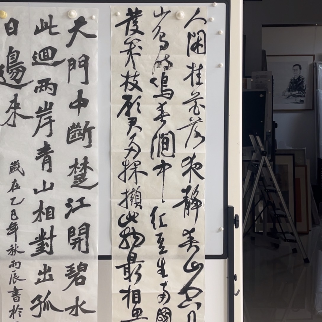 书法张彪 王维二首4平尺