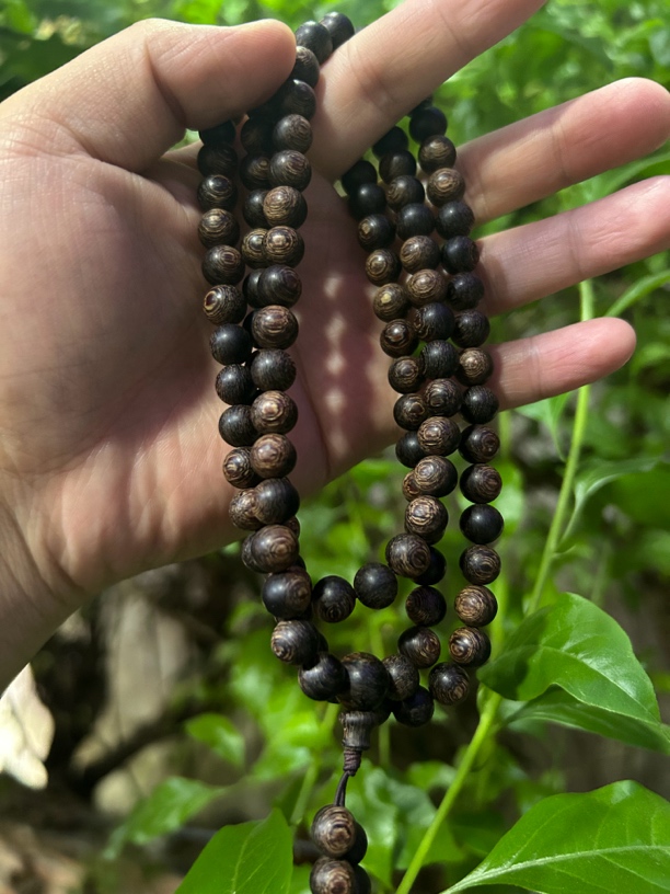 【土特产菇16】净含量33g
