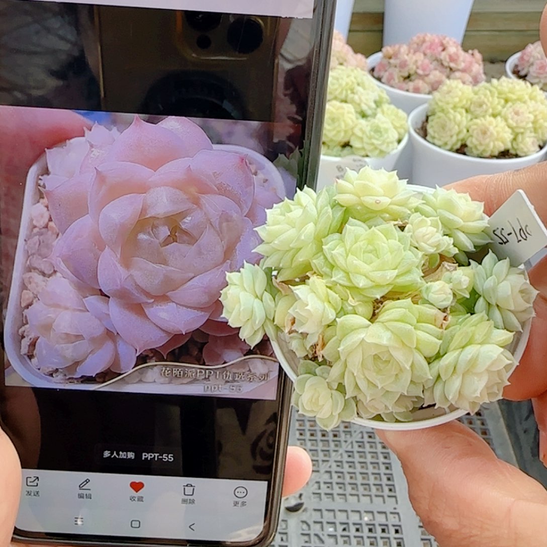 P***Z0103-26（ppt-55）优选