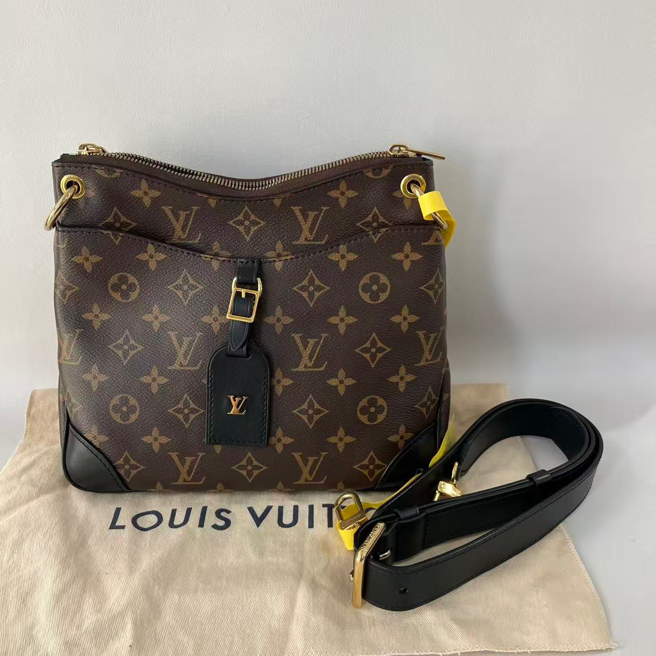 95新 LouisVuitton/路易威登 捐金沉珠/小号odeon单肩