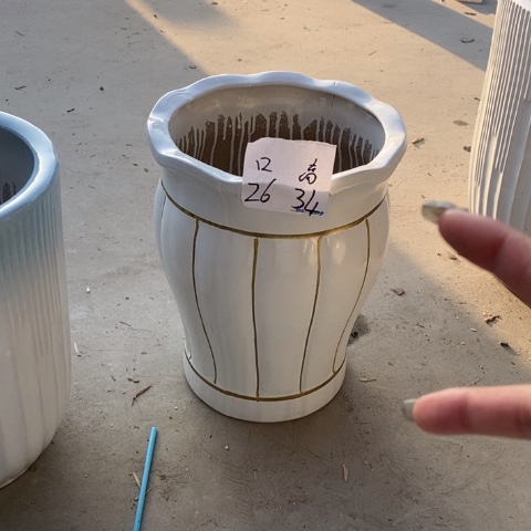 低腰花口白金南瓜中 口26/34（2个）