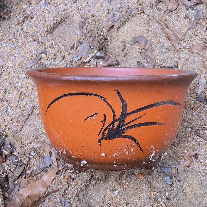 紫砂悟哈哈哈哈哈哈a30