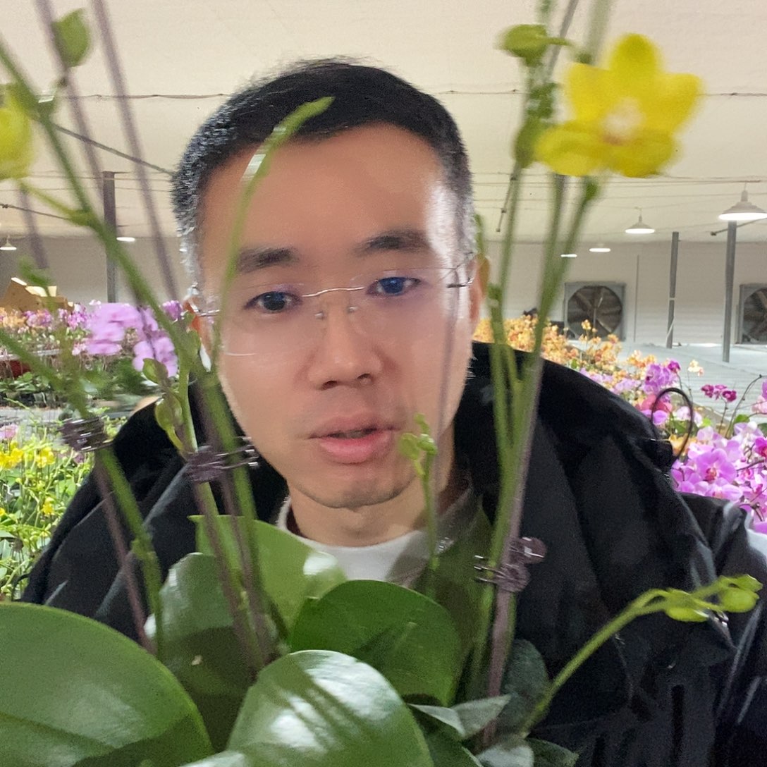 完全开放吉祥如意1颗保双剑
