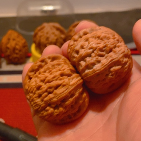 拼***来把件文玩核桃白狮子