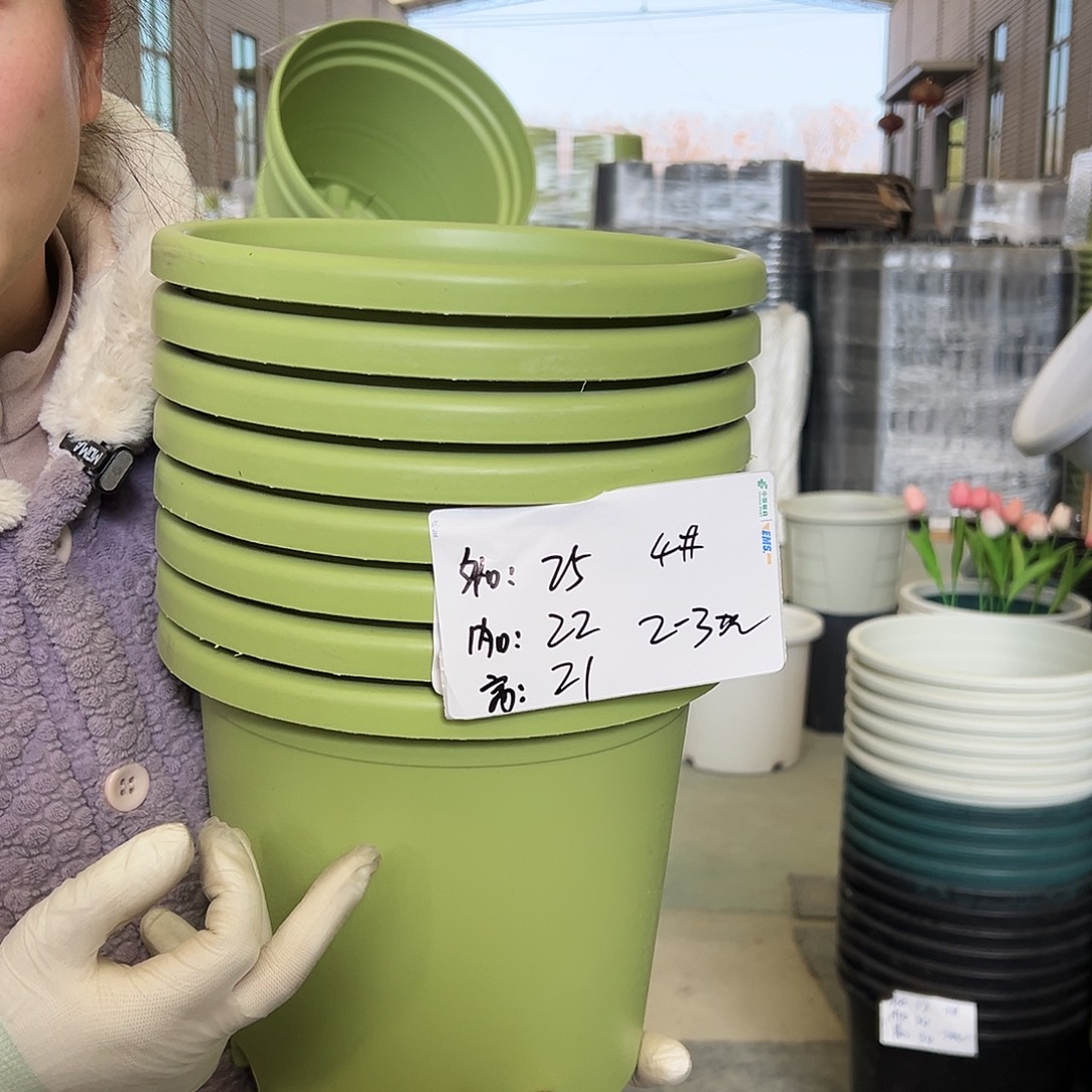 四季盆4#果绿8个无托