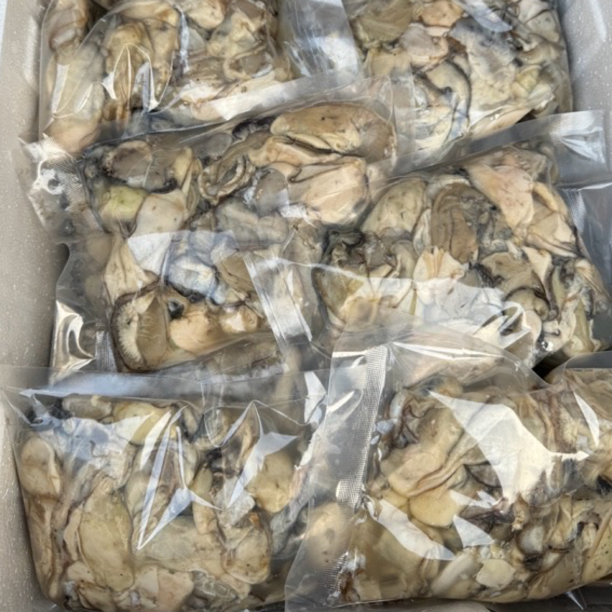 【正宗】海蛎肉，顺丰包邮，杏树屯元宝生蚝蛎子扒的2斤/3斤/4斤