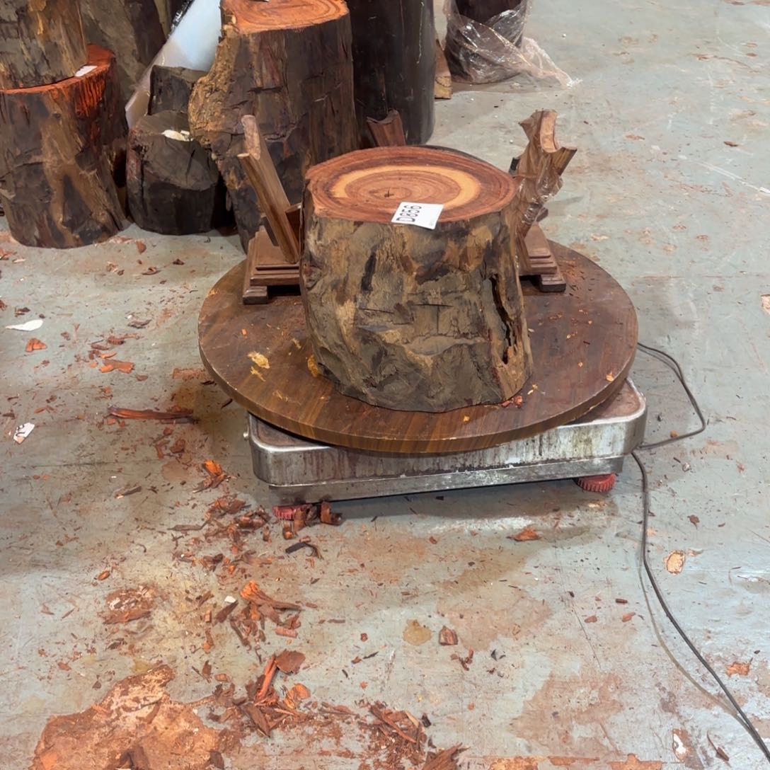 一物一拍血檀编码856