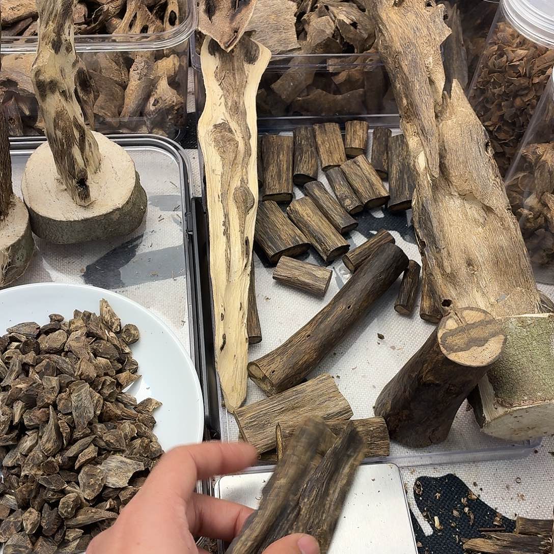 风***子排油15克包邮到家