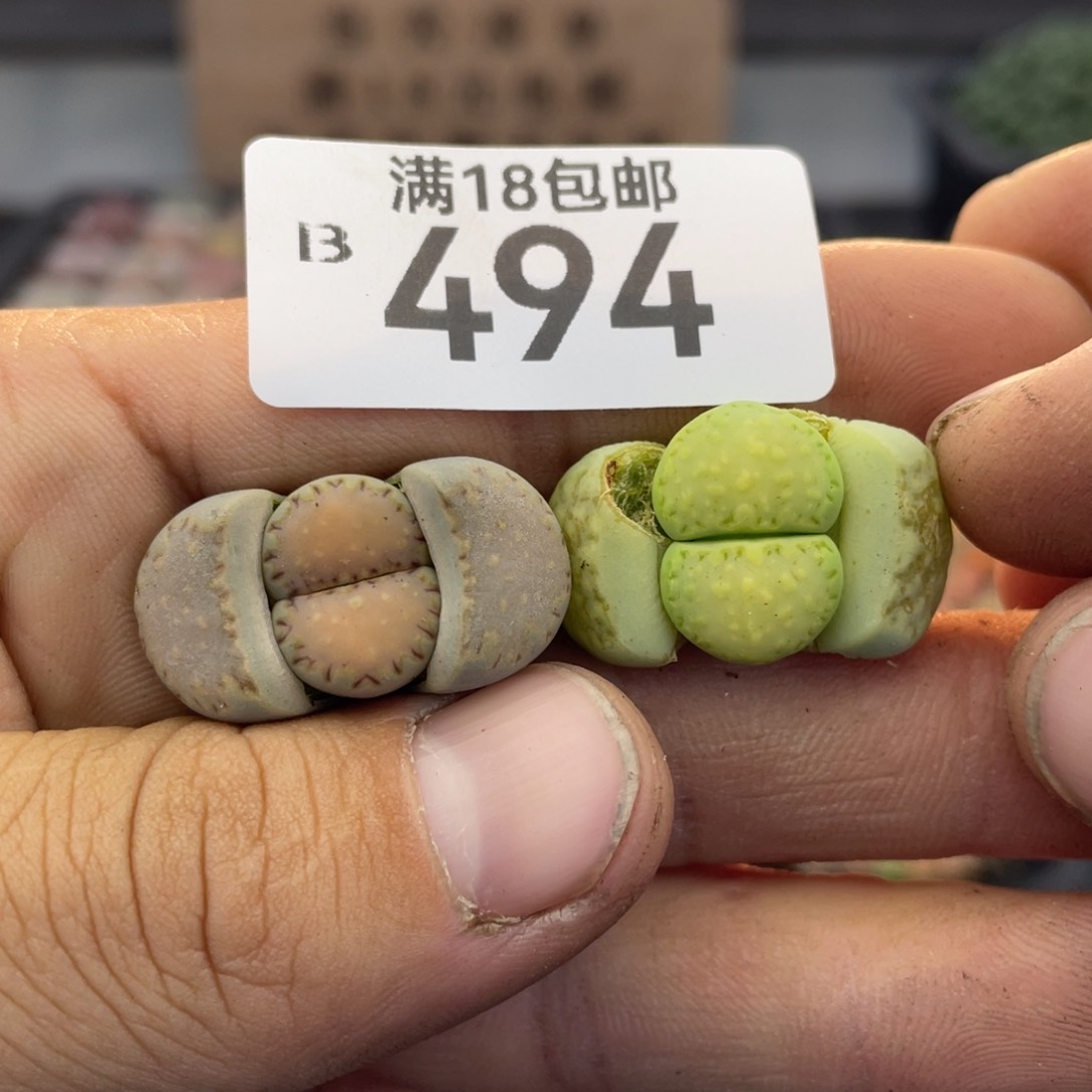 无铅玻璃0000000000494