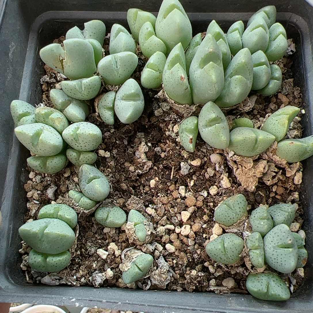 【闪购商品】372 秒