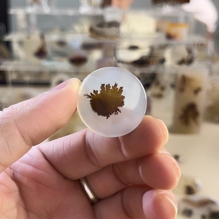 玛瑙/玉髓吊坠(不含链)未镶嵌