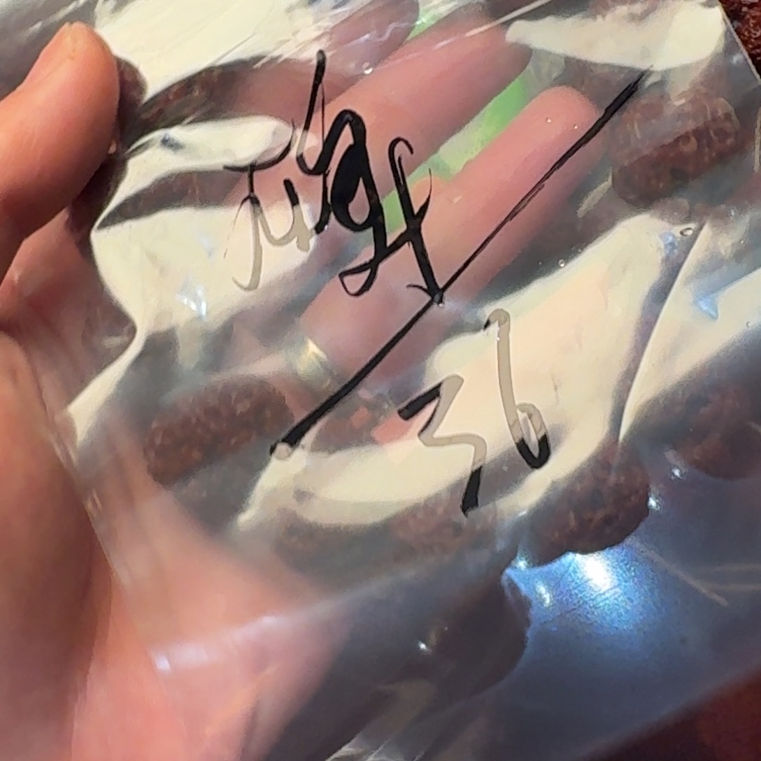 碑***廊金刚菩提吊坠36啊啊啊啊啊