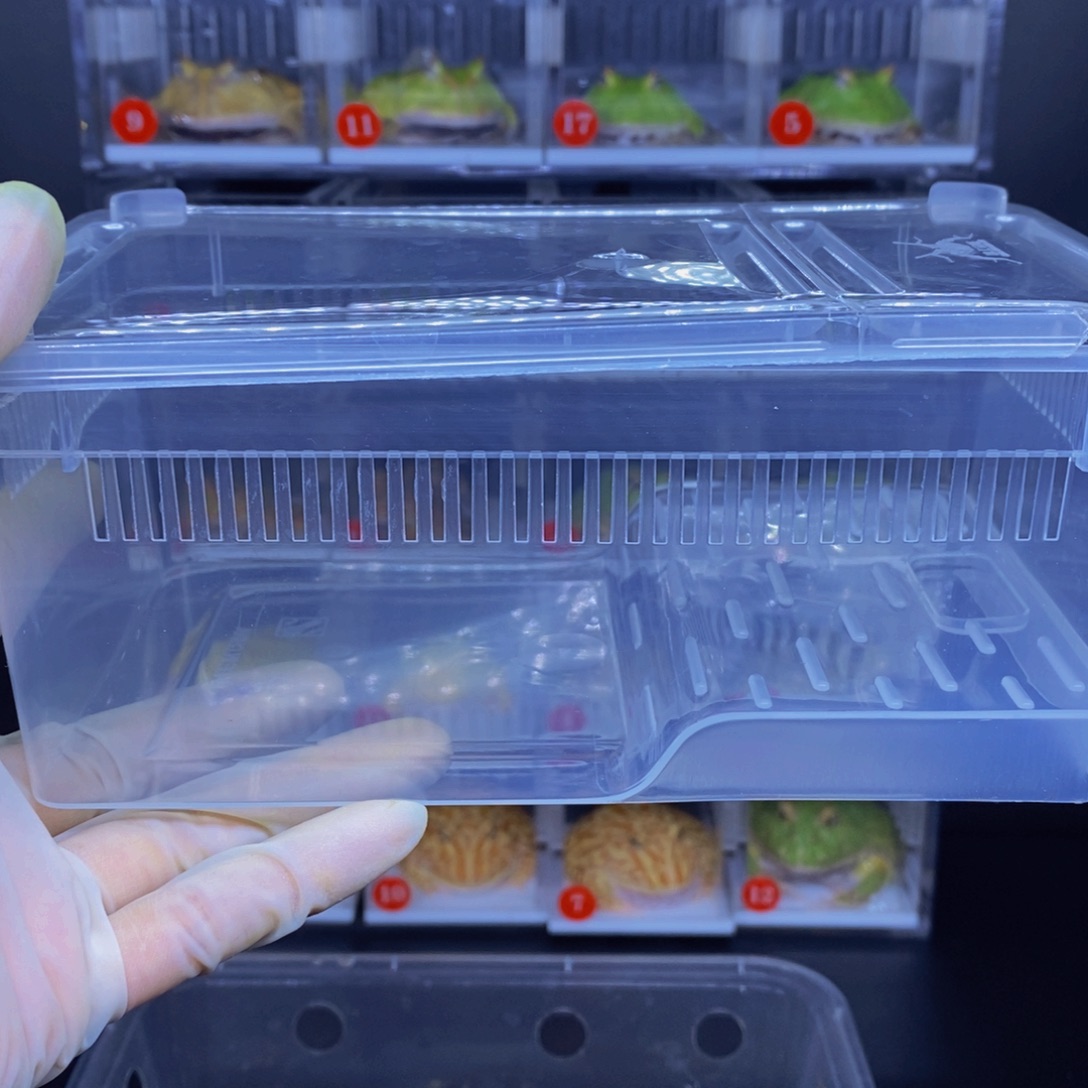 角蛙盒子链接。         