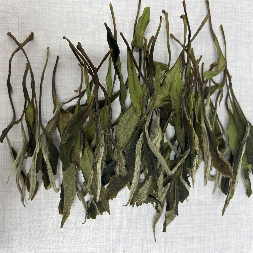 老刘私藏2022年荒野梗牡丹.福鼎.管阳.高山.白牡丹.蜜韵.毫香.