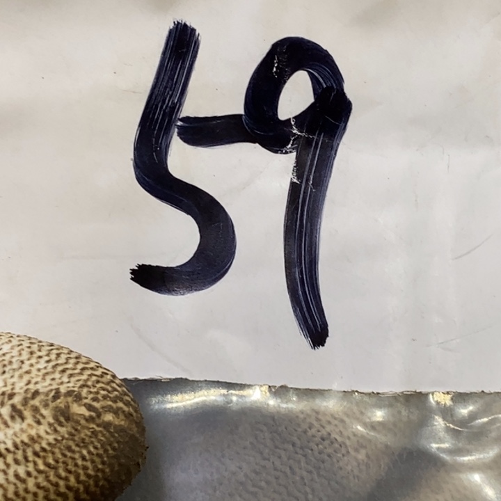 阿***陆娜娜文玩杂项专属链接