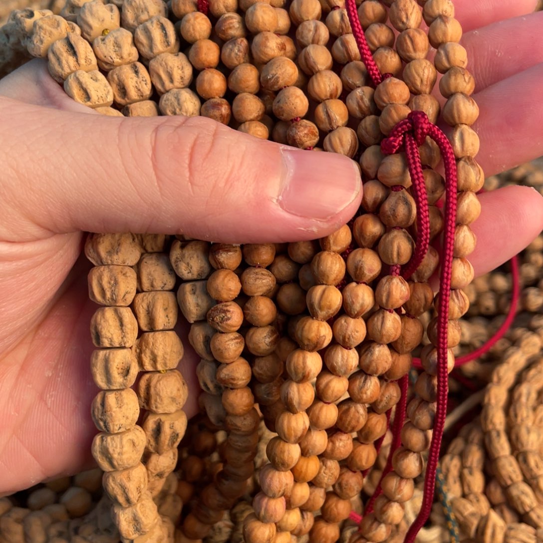 ****頭手串柏香籽/百香籽热振柏香籽专拍➕金豆x3