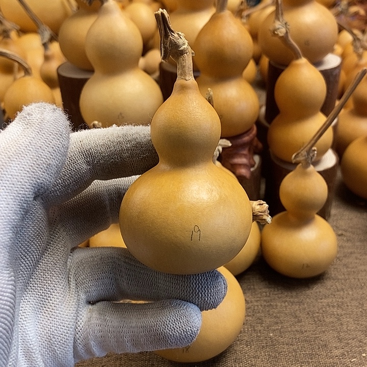 文玩葫芦 完美主义者 慎拍19