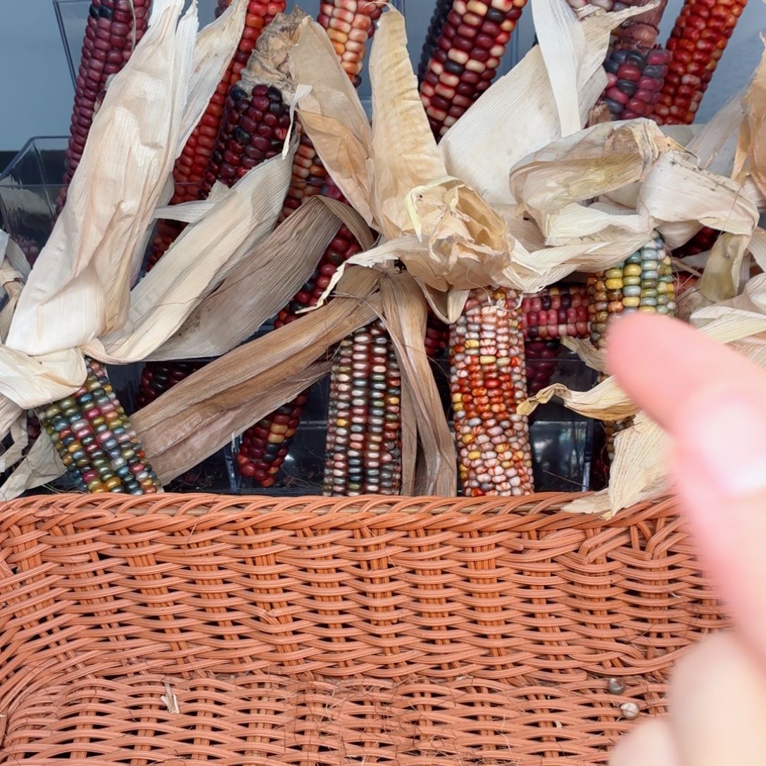 艾***雨吊坠白玉菩提文玩精品文玩精品