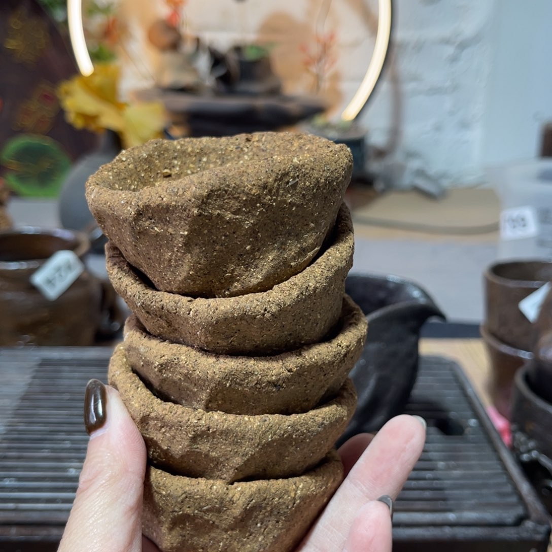 木村信弘柴烧保平