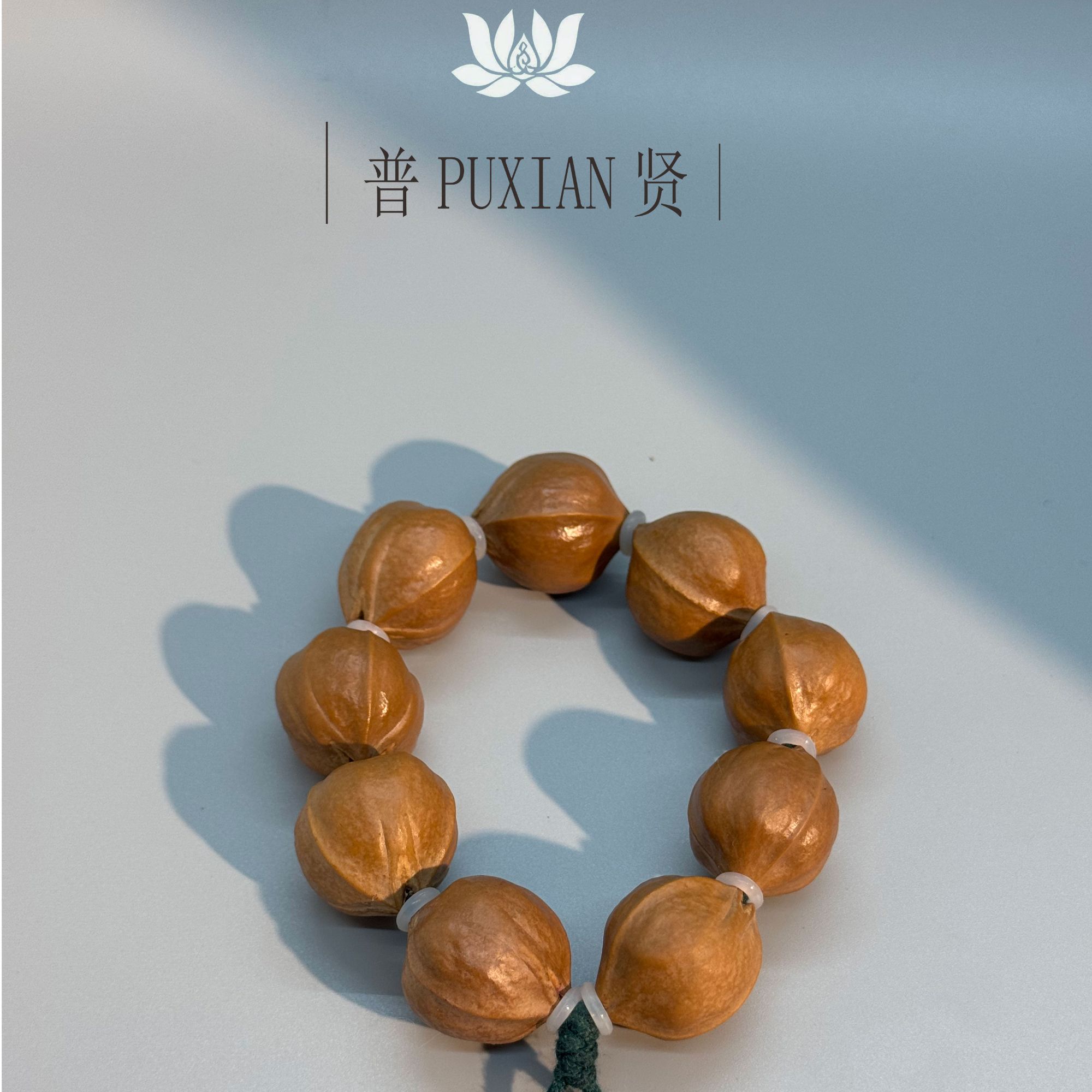 普贤PUXIAN素核 盲盒活动专用链接 直播间看 勿看商品图！