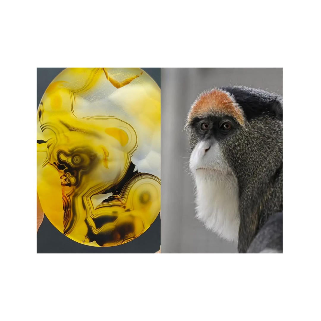 巴西海洋玉髓玛瑙草花象形纯天然吊坠风景男女水滴挂件山水意境画