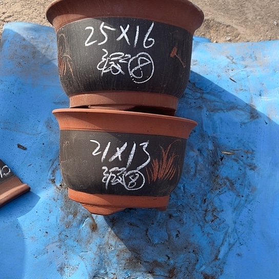 紫砂的感觉就是我喜欢你