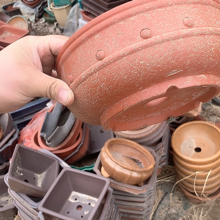 紫砂淘宝上所有产品可以免费