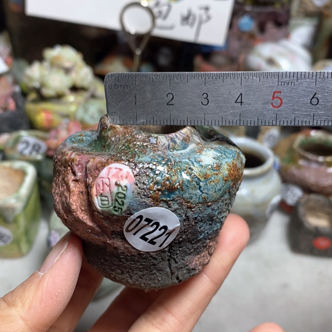 花盆拍3送一个小礼物