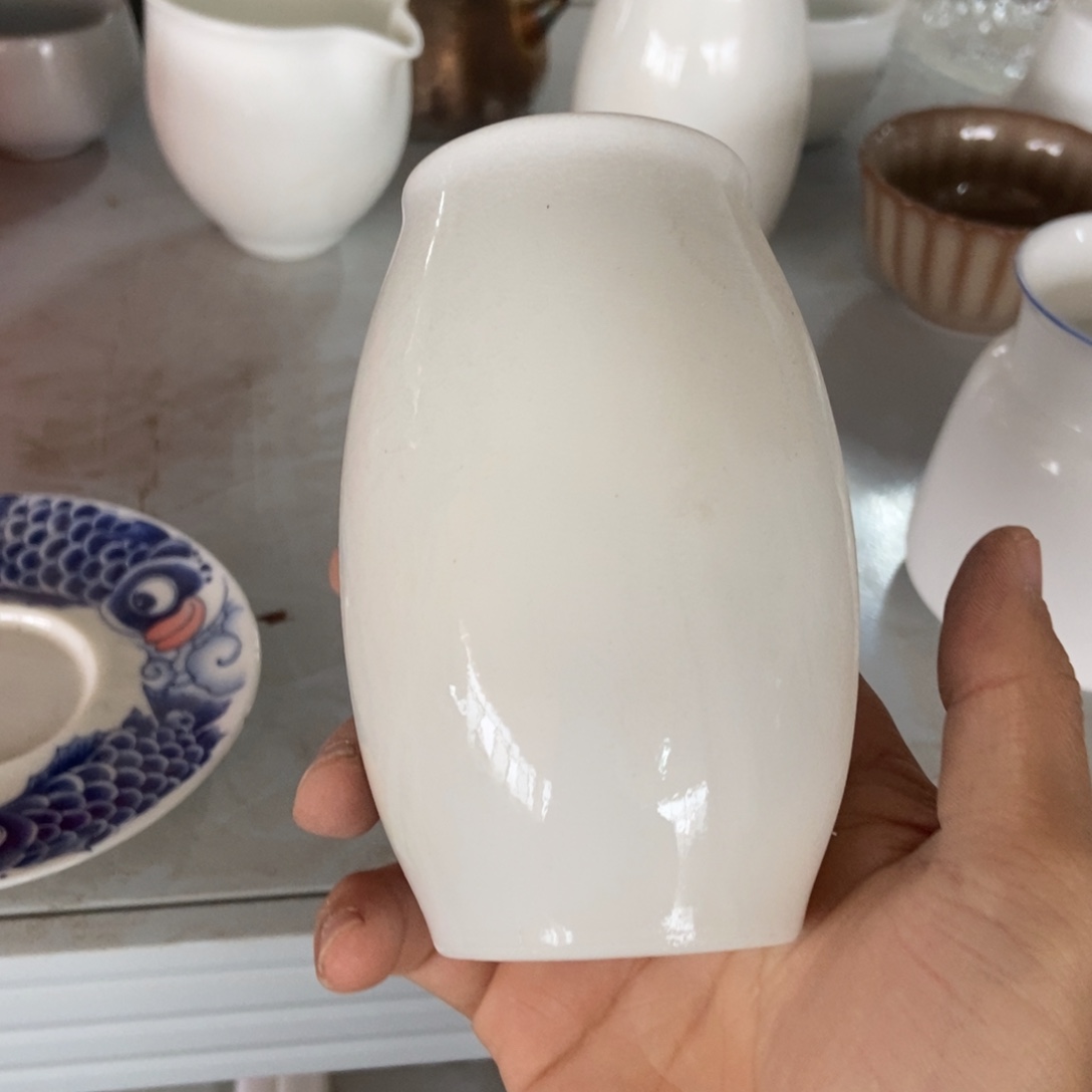 杯直播链接直播链接