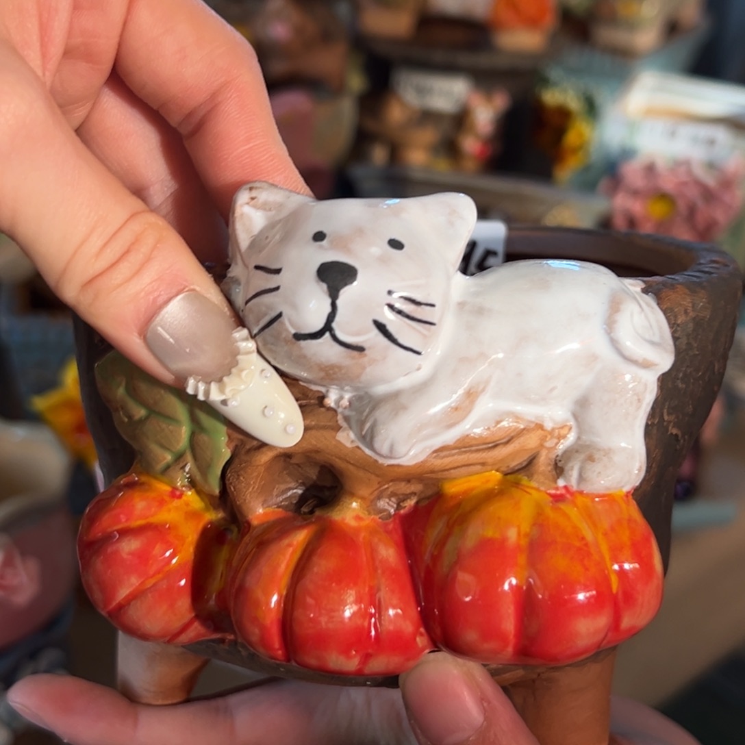 满18.8米发货，退款拉黑