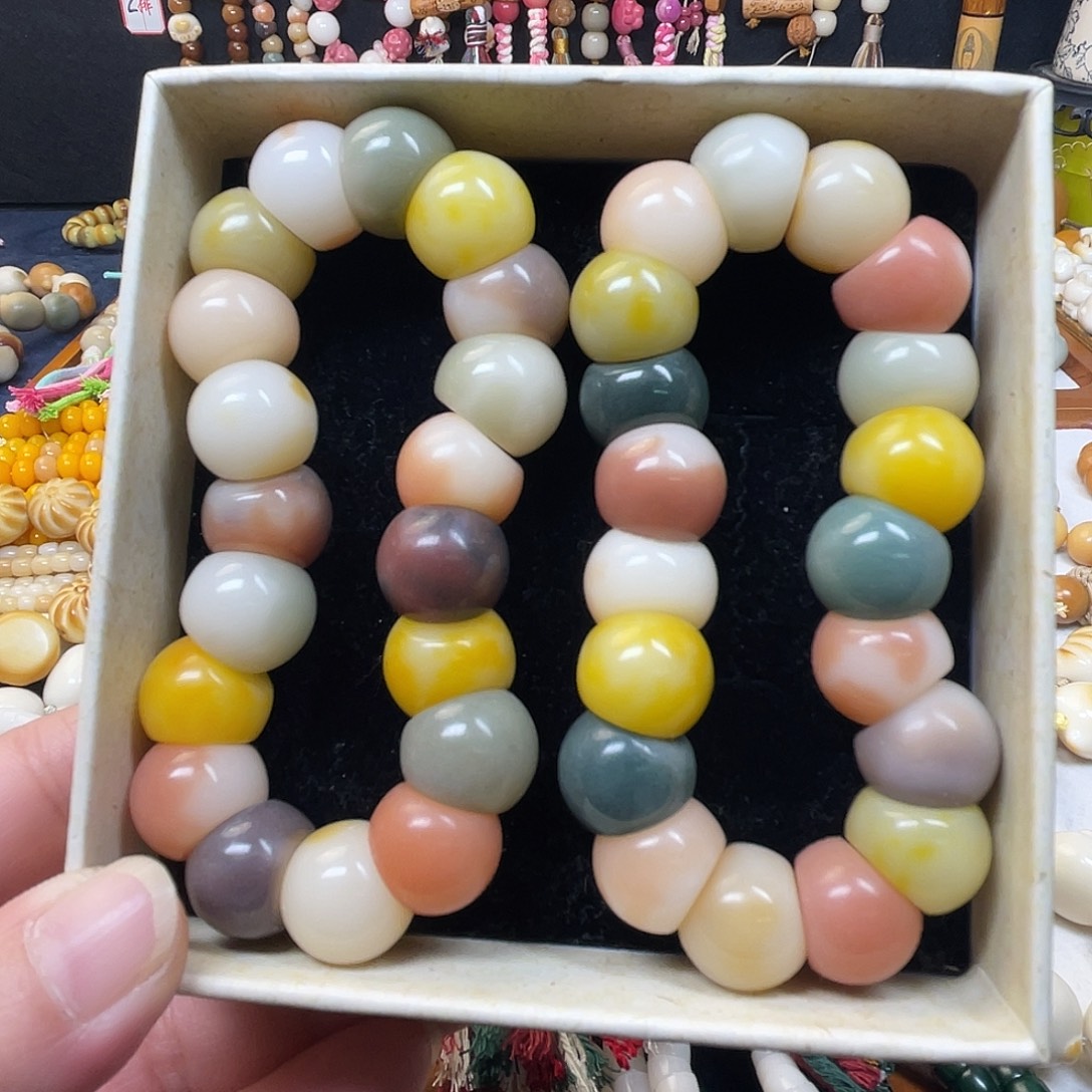 菩提根/象牙果吊坠糖果色